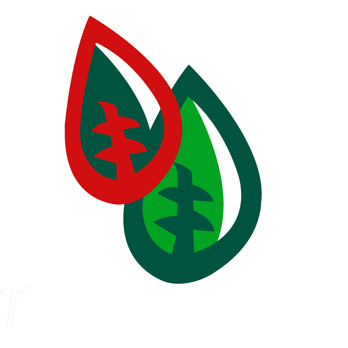 TRANSRODI